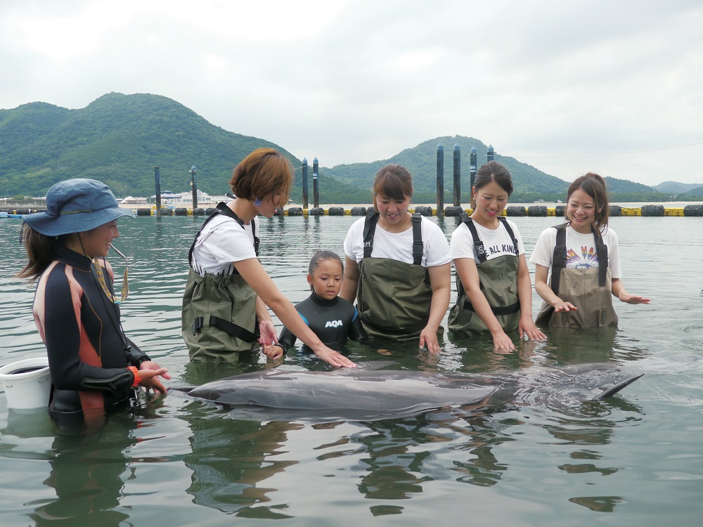 「疲れたココロと身体をリフレッシュ！イルカと泳ぐ癒し体験はいかかでしょう？」