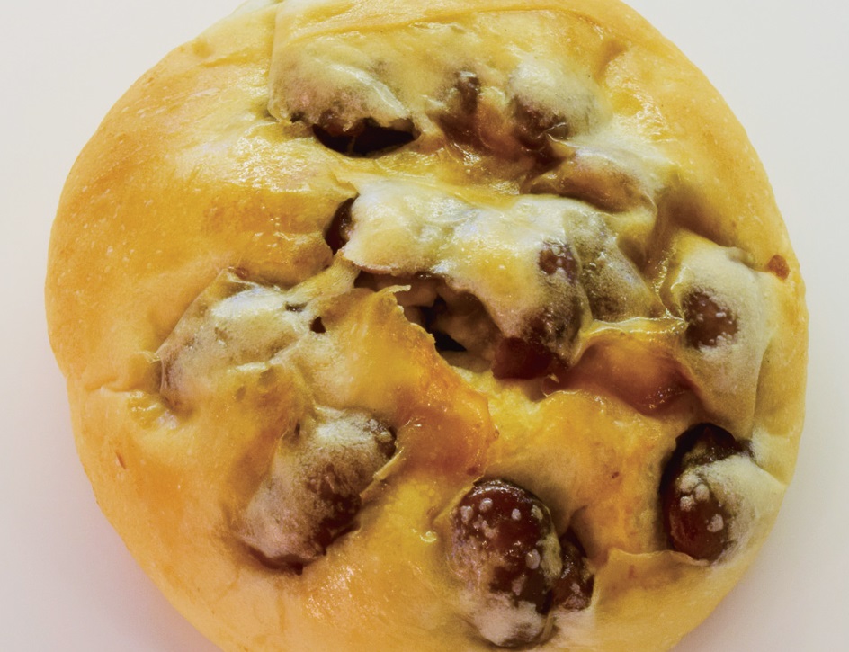 『パンの木』ＪＲ栗林駅近くにあるおいしいパン屋さん♪