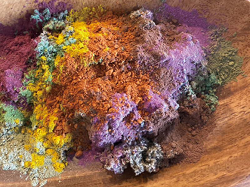 “あなたらしさ”を輝かせる腸活サロンがOPEN！