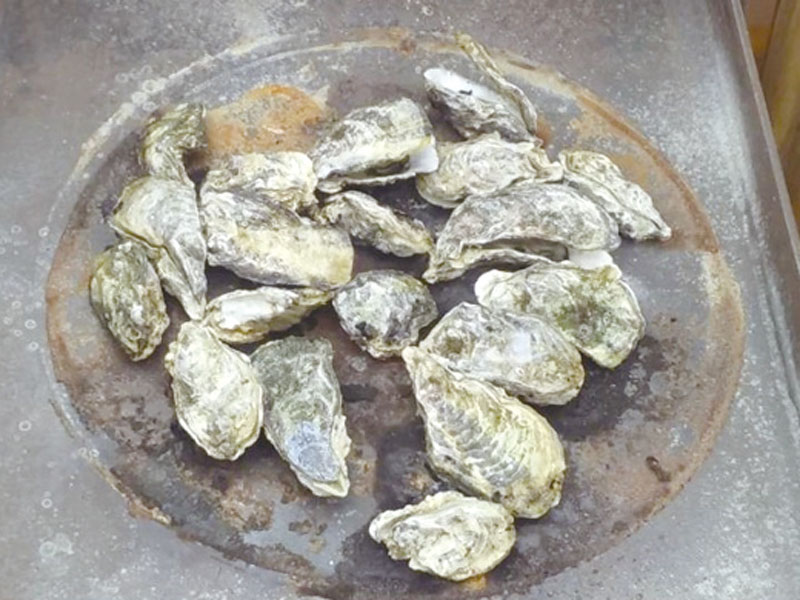 志度湾から仕入れる、新鮮な「かき」が食べ放題！