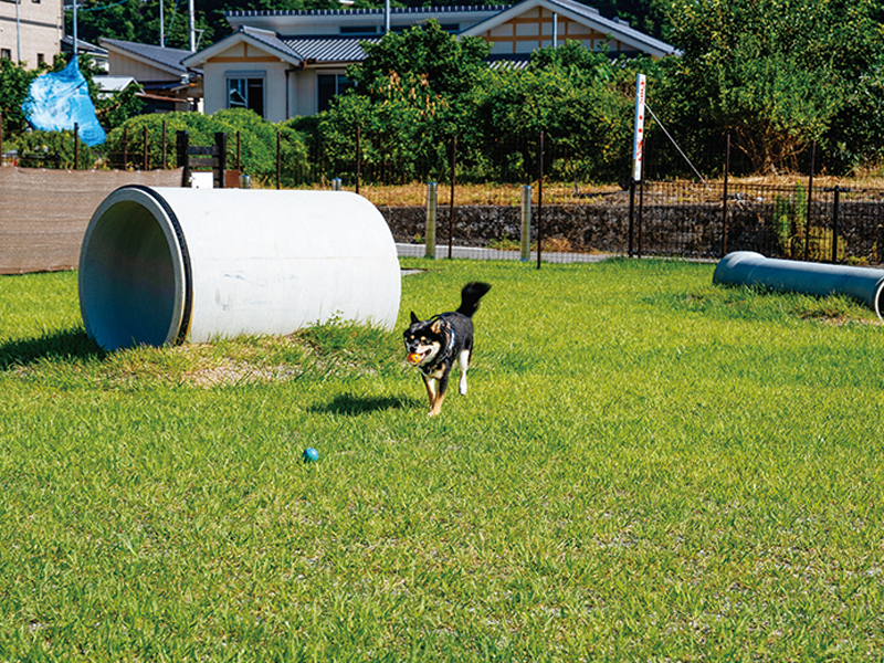 『道の駅 みまの里』産直やグルメにドッグランもある“地域と共に”がコンセプトの文化交流の場【徳島県美馬市美馬町】