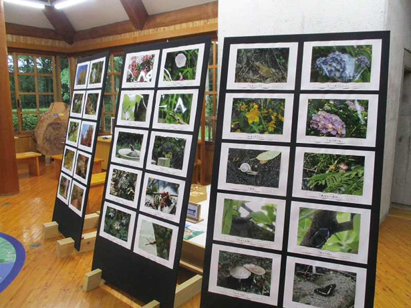 終了しました。開催中〜4月18日（日）　第10回 生き物写真展と第5回 まんのうっ子の文化発表会