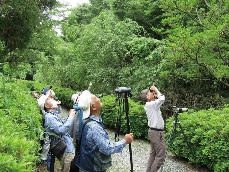 終了しました。5月11日（土）春の野鳥観察会【香川県仲多度郡まんのう町】