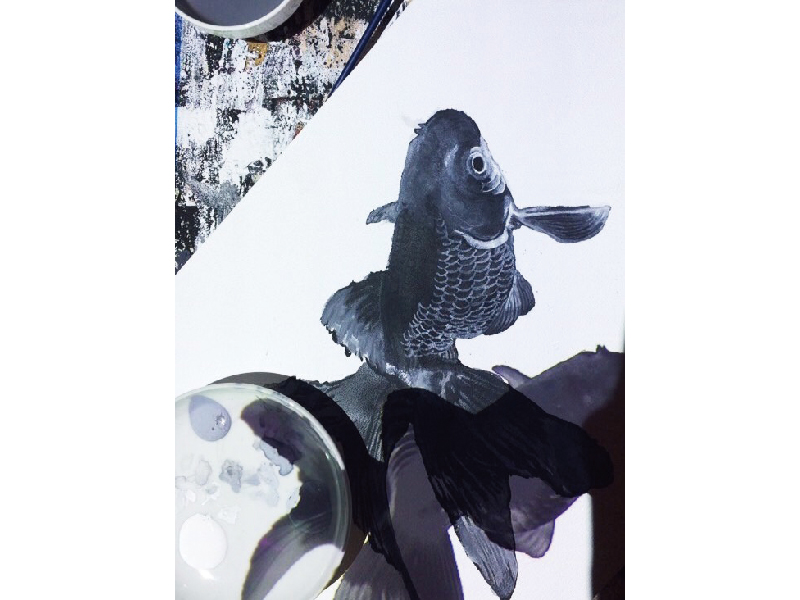 終了しました。開催中～9月24日(火)『谷崎拓也個展「主旨」「過程」「成果」』