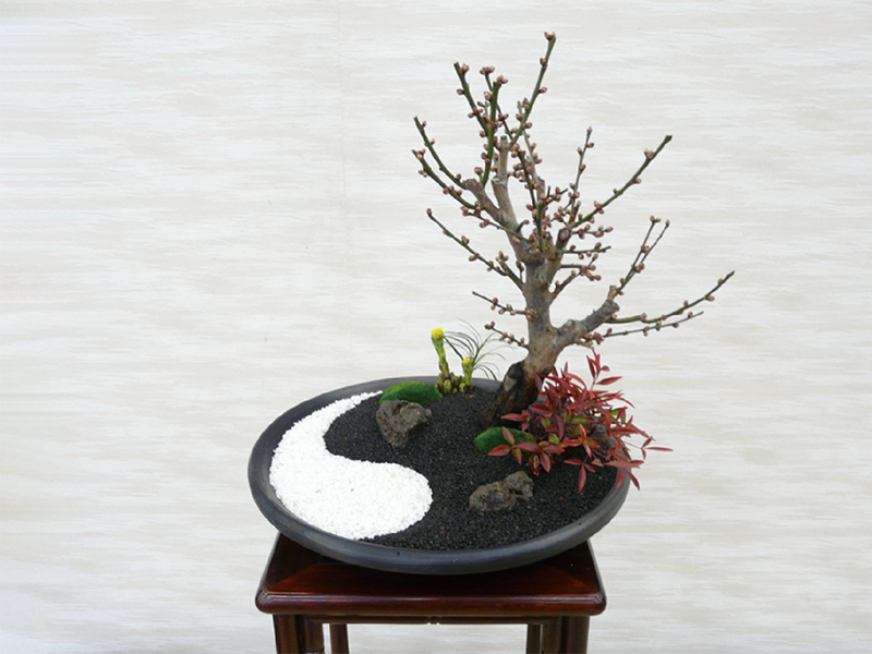 終了しました。12月23日(月)『令和元年 お正月飾りのワークショップ　和の寄せ植え飾りコース』