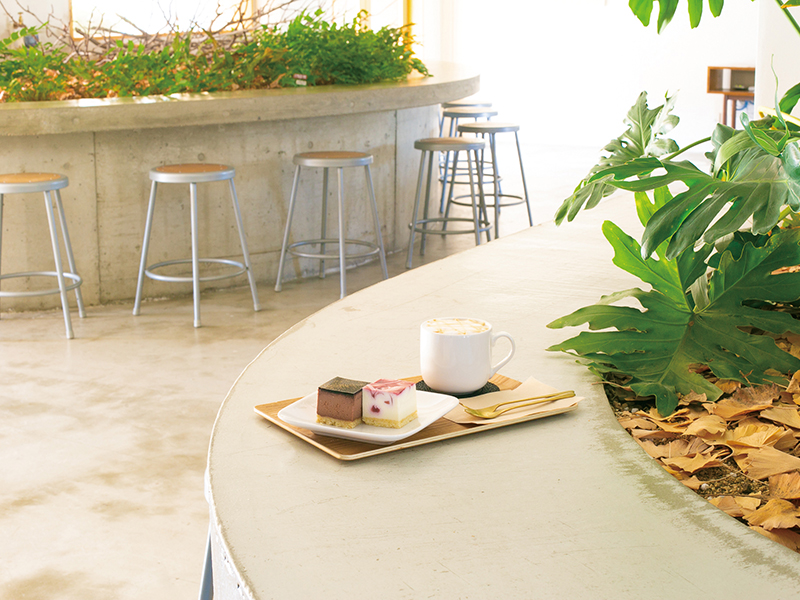 極上のくちどけ！おしゃれでキュートなキューブ型のチーズケーキ専門店