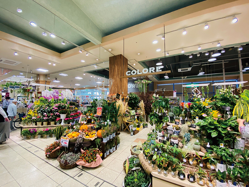 「旬・鮮度・おいしさ」にこだわりリニューアル！