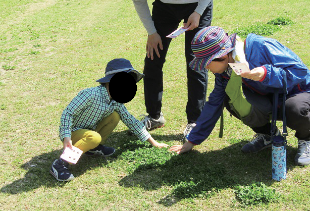 終了しました。4月21日（日）満濃池森林公園 春のネイチャーゲーム