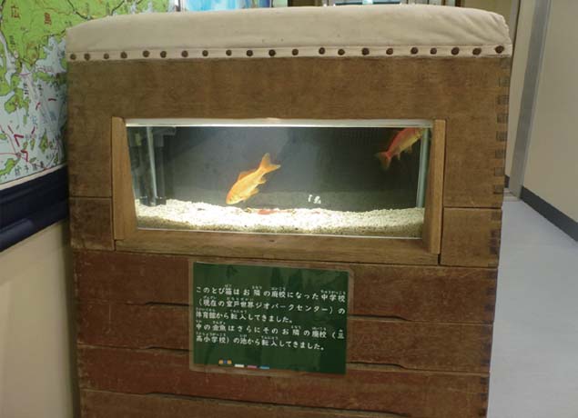 終了しました。3月9日（土） 『2020年春 四国水族館OPEN1年前イベント 館長のおはなし会「小学校を水族館に変身させた話」』