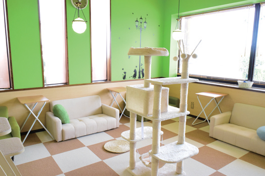 『ねこ茶　ネコチャ』かわいい猫たちに囲まれた癒しの空間