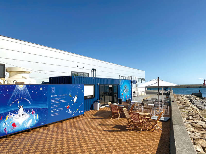 テラス席で海を眺めながら新鮮なお魚ランチを