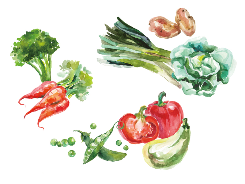 JR高松駅よりスグ!『高松シンボルタワー』に話題の2店舗+高松初のサラダ専門店がOPEN!