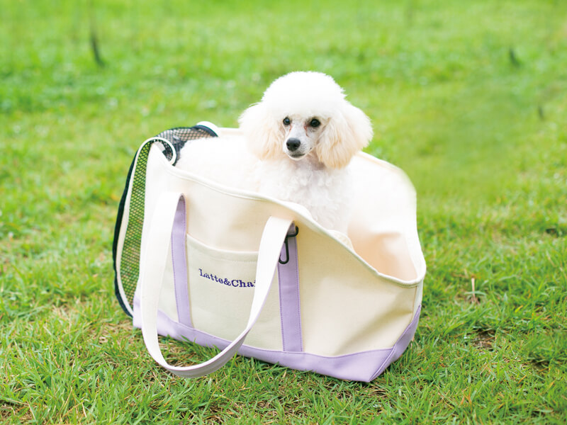 愛犬といっしょにアウトドア♡丈夫で機能的なキャリーバッグ新発売！