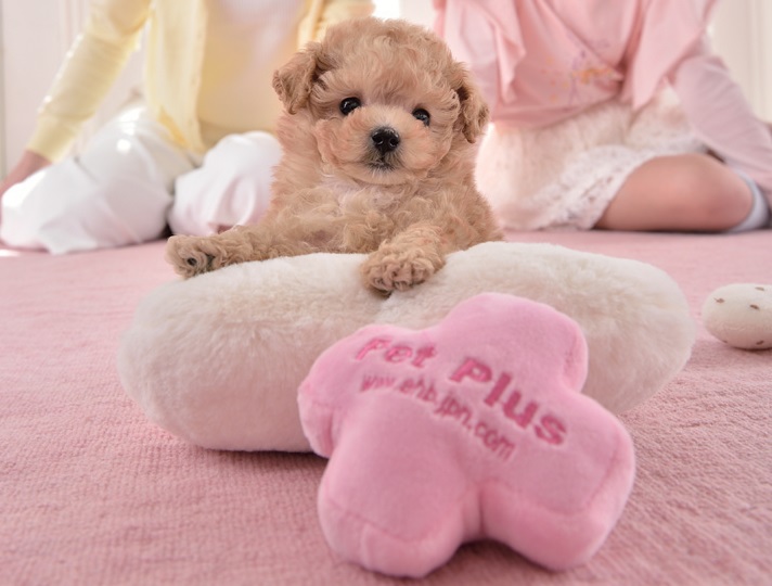 幸せに、健やかに、豊かなペットライフをサポート