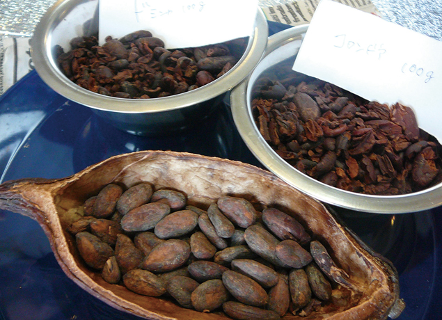 終了しました。2月11日（月・祝）『Bean to Bar ～チョコレートから見える世界～』カカオ生産国での国際協力についても学べる カカオからチョコレートを作るワークショップ