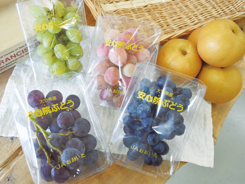 安心安全な食品とともに、オーガニックな暮らしを提案。