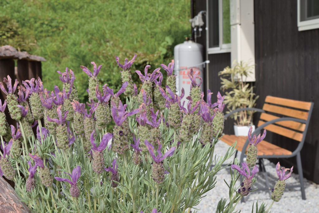 『BAKERY　Matsumoto』納屋をリノベーションした可愛いベーカリーが屋島の美しい風景の中に新しくOPEN