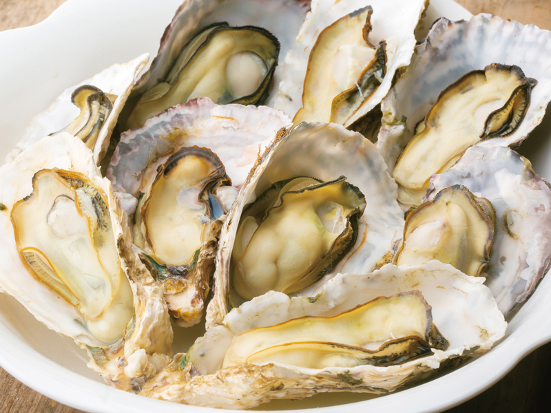 サウナ女子会もおすすめ!高松市内のアウトドアサウナ!