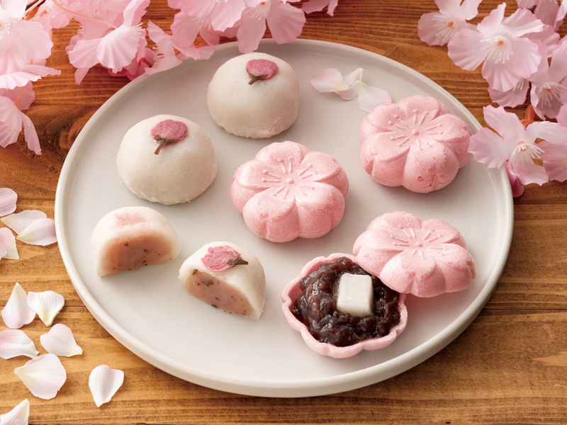 桜大福と春色最中2種 春菓子詰め合わせ