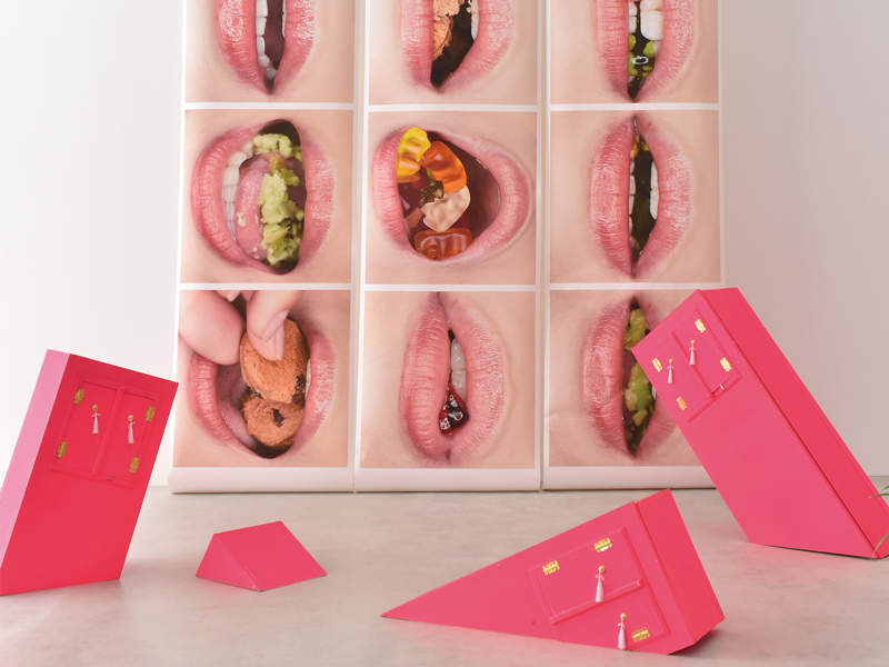 『waki season camera　ワキシーズンカメラ／花がたり･DANKE　ハナガタリ･ダンケ』日常や特別な日に彩りを与えてくれるフォトスタジオとフラワーショップが同居する新施設が誕生！【香川県高松市三谷町】