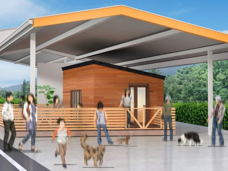 週末は自然と触れ合う島カフェで過ごそう