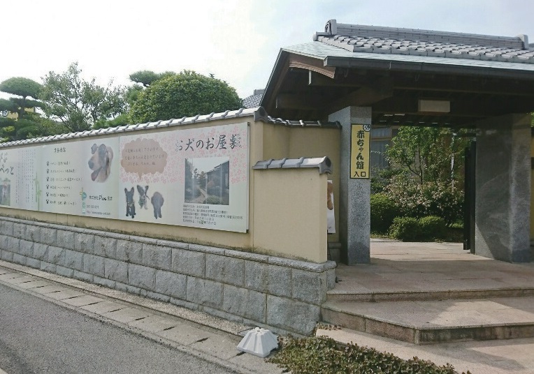 子犬とふれあいませんか♪♪♪