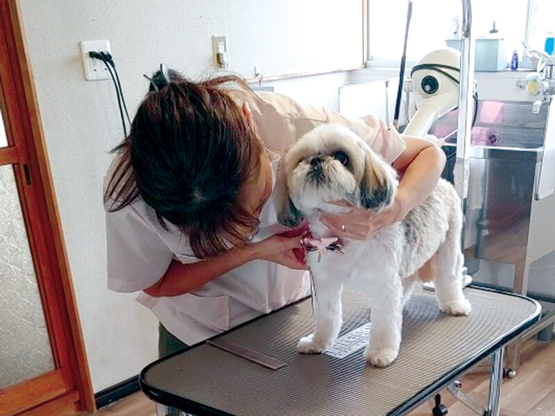 自然豊かな場所でゆっくりトリミング