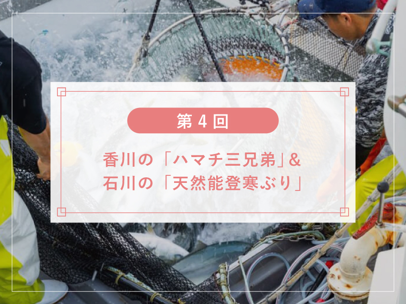 【第4回】香川の「ハマチ三兄弟」＆石川の「天然能登寒ぶり」