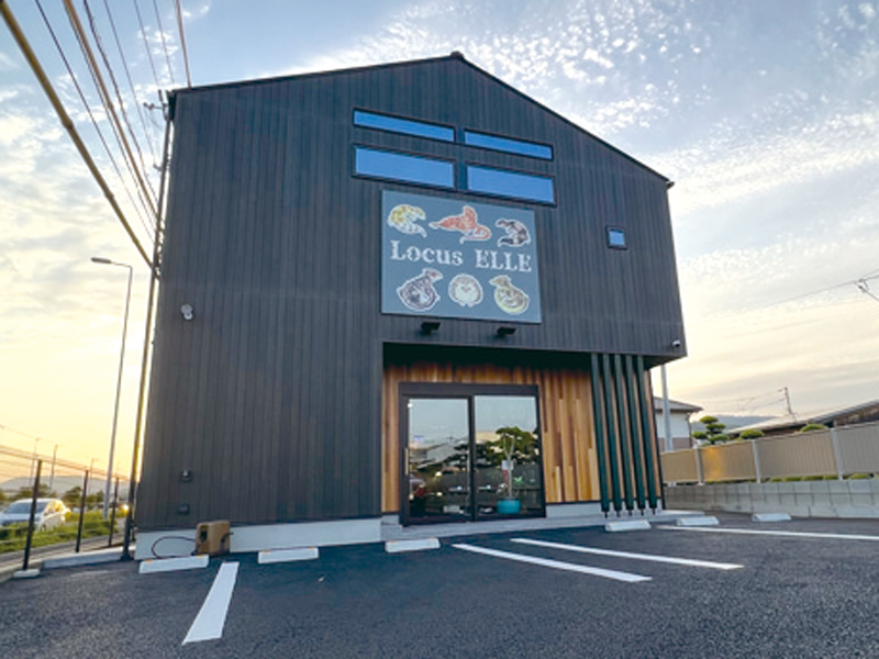 ペット需要高まる小型ヤモリ専門店が香南町から檀紙町に移転!