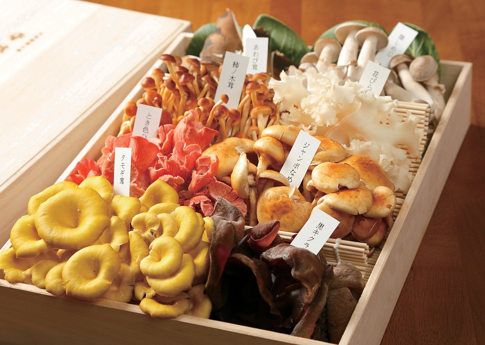 『本格薬膳火鍋　守破離』６種の薬膳が溶け込んだスープでアンチエイジング！