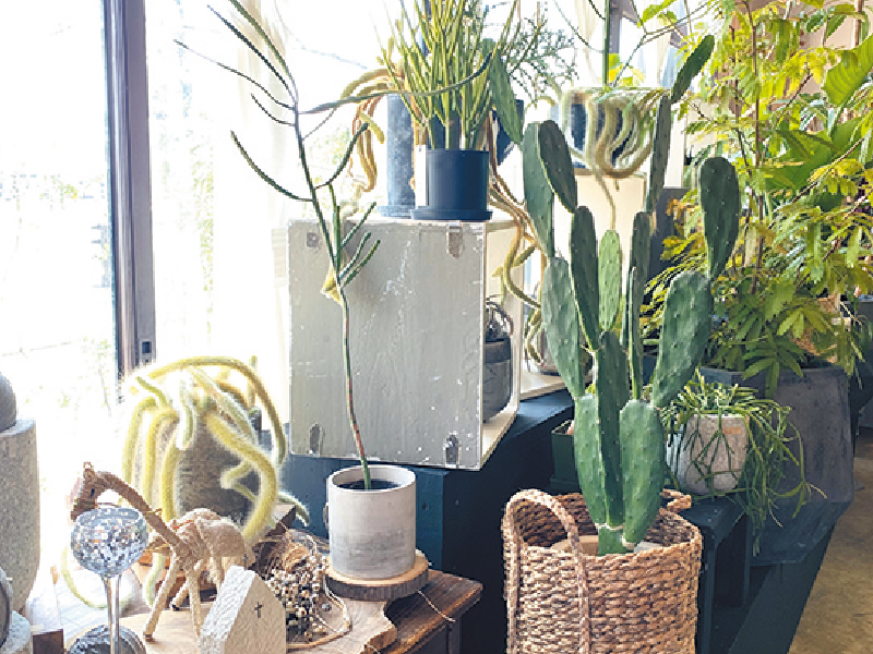 『花がたり・DANKE　ハナガタリ・ダンケ』“花の自然な美しさ“を伝えるフラワーショップ【香川県高松市三谷町】