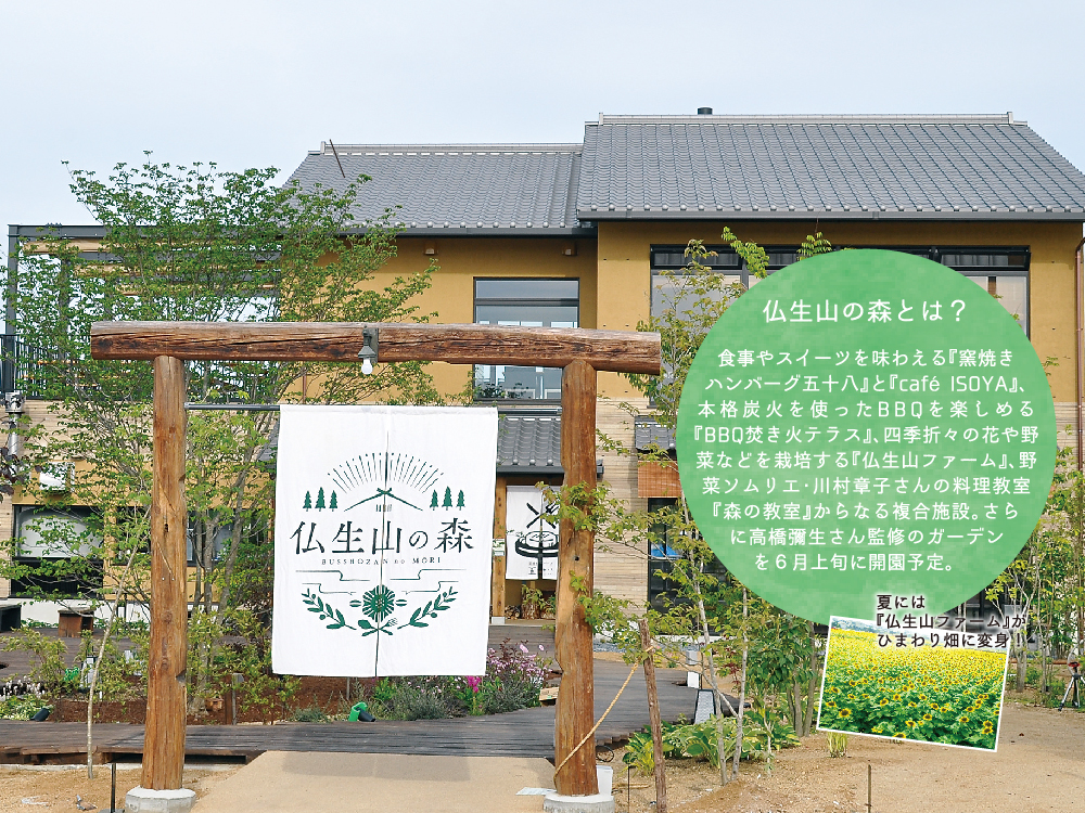 お世話になった方への贈り物や、ご自宅で