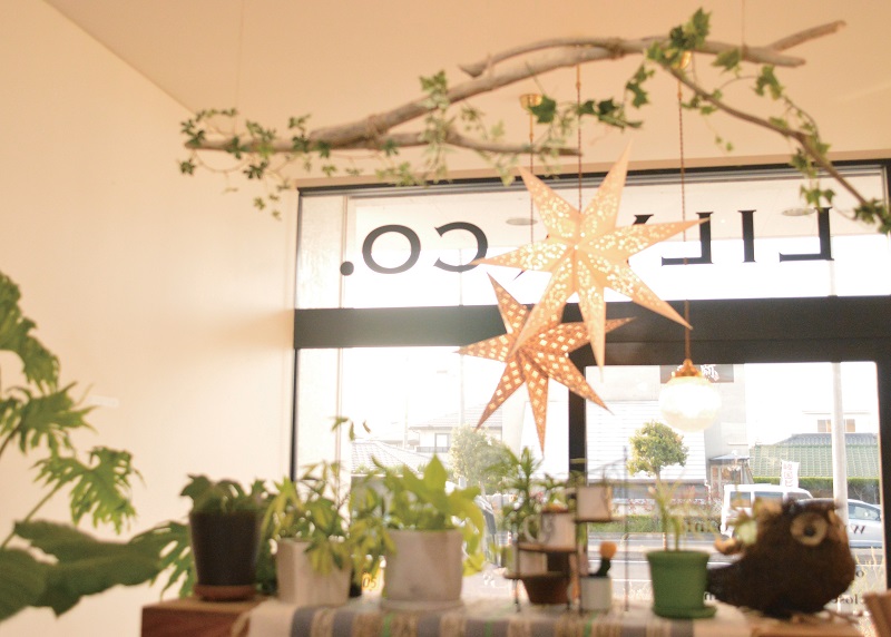 『LILY&CO.』家族みんなでながーく通えるサロン♪