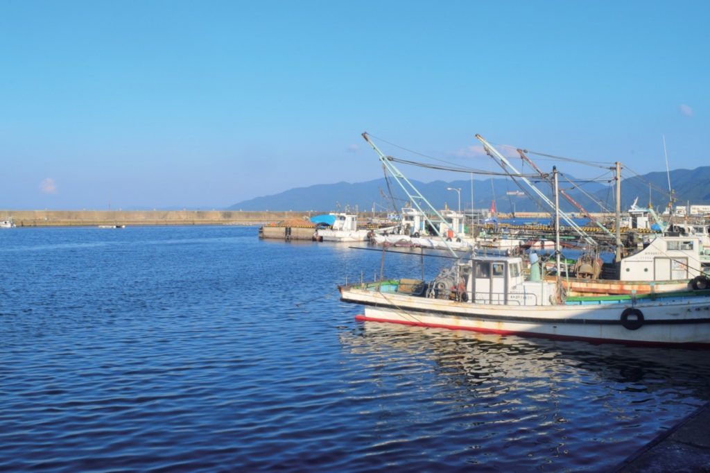 新鮮な海の幸×手作りの醤油ダレが相性抜群の絶品”づけ丼”に舌鼓