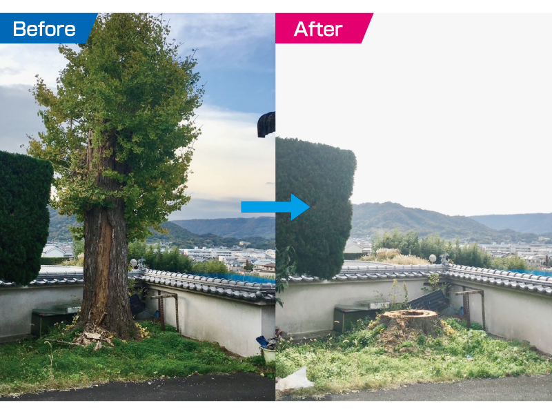 『草刈金太郎 香川本舗』手を付けられない荒地や高木にも対応！建設会社の整地力【香川県高松市塩上町】