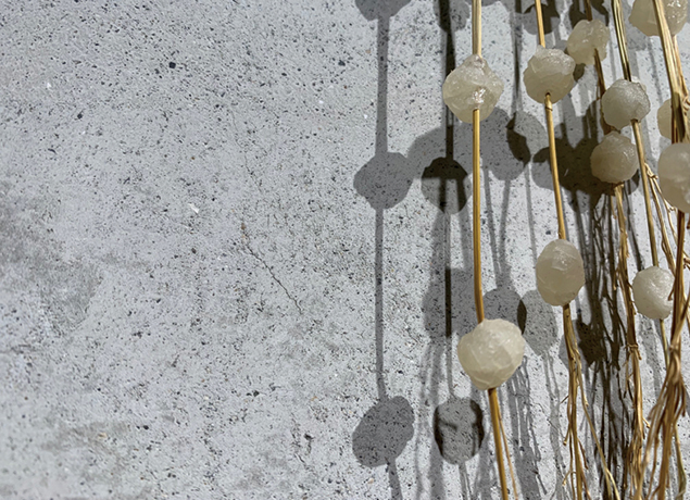 『八十八　ハチジュウハチ』人気セレクトショップが丸亀へ移転し より洗練された空間へと変身