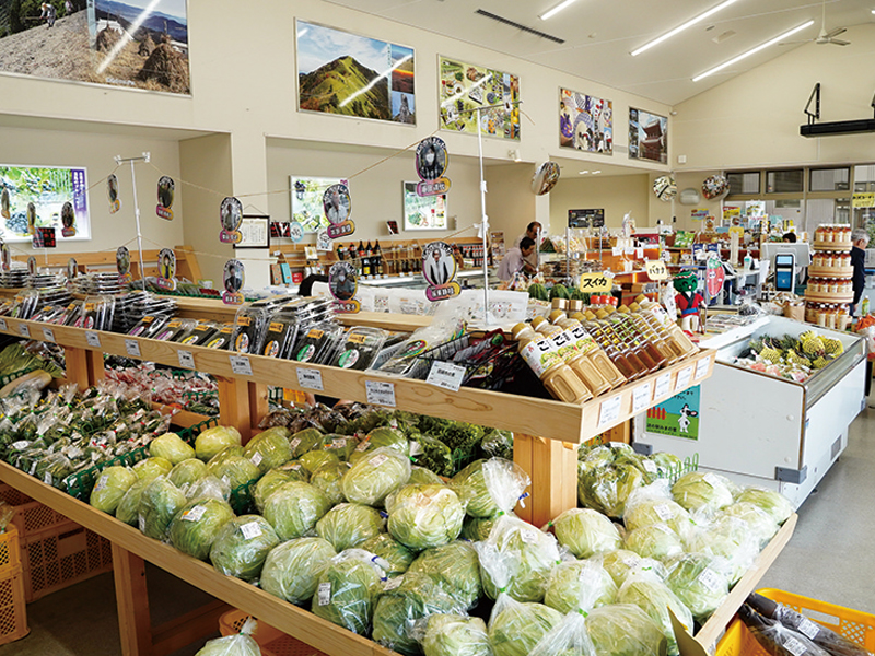 『道の駅 みまの里』産直やグルメにドッグランもある“地域と共に”がコンセプトの文化交流の場【徳島県美馬市美馬町】