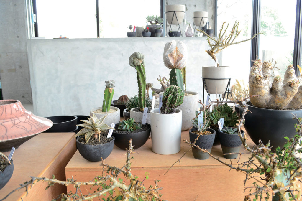 シンプルかつ個性を感じるライフスタイル♪丁寧な暮らしを提案するShopがOPEN