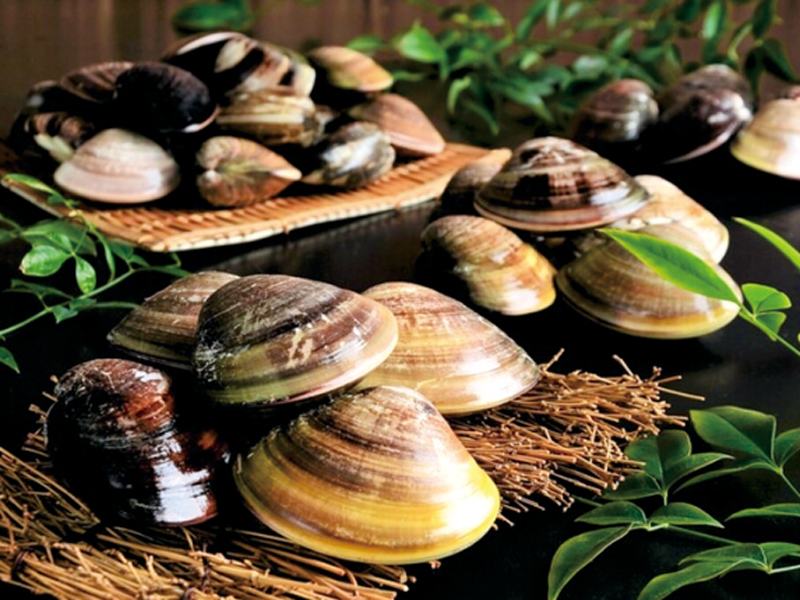 博多水炊きのミシュラン店で教わった本場の味を