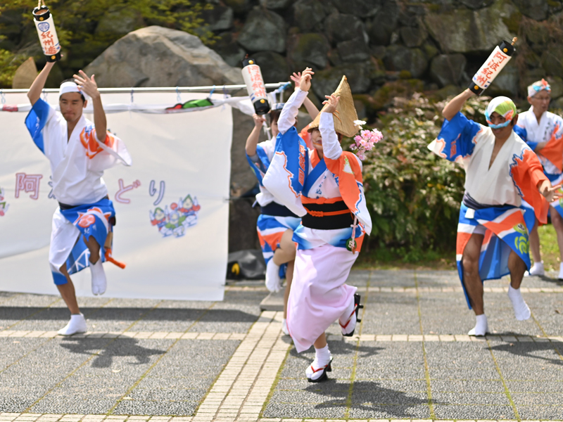 終了しました。　2025年11月29日（土）市民ふれあい阿波おどり【香川県高松市玉藻町】