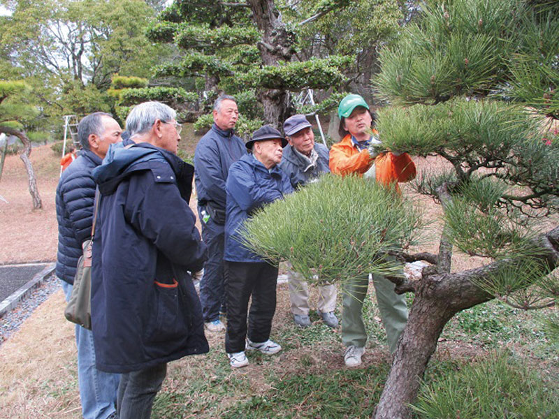 終了しました。2021年 1月17日（日）　剪定教室（松）とお庭の管理方法教室