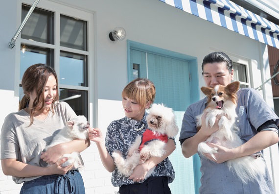 圧倒的な知識と技術力であなたの悩みを解決