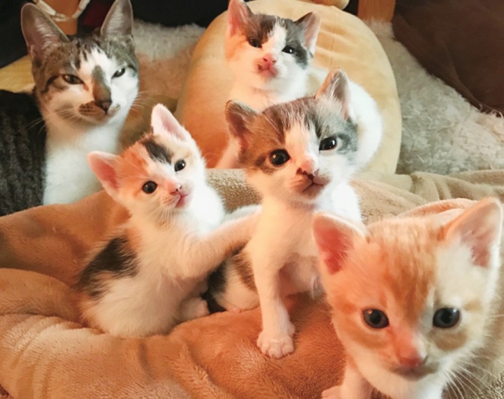 “治さない？”がモットーの新感覚整体院