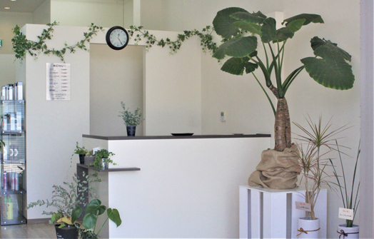 『hair MARUKO』ハローズ春日店敷地内にヘアサロン OPEN！