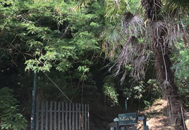 海が見える、癒しのネイルサロンでご褒美を