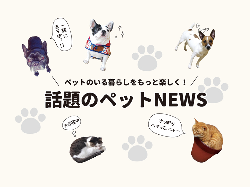 ペットのいる暮らしをもっと楽しく！　話題のペットNEWS