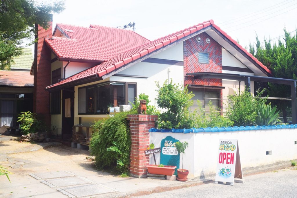 このボリュームで約５４０ｋｃａｌ！「腸活ランチ」で体を整えよう