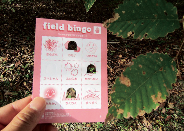 終了しました。10月21日（日）『満濃池森林公園 全国一斉ネイチャーゲームの日秋のネイチャーゲーム』自然の中でコミュニケーション力や五感で感じる力を伸ばすネイチャーゲームに参加しよう