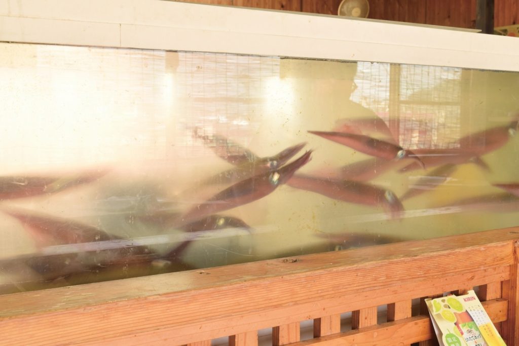 『鮮魚問屋　海寶』マグロの中落ちをたっぷりのせた数量限定のボリューム丼を召し上がれ！