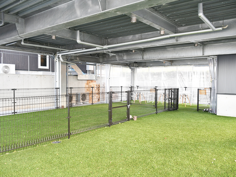 『Ajimare　アジマーレ』犬連れも利用できる海カフェが庵治町にOPEN！【香川県高松市庵治町】